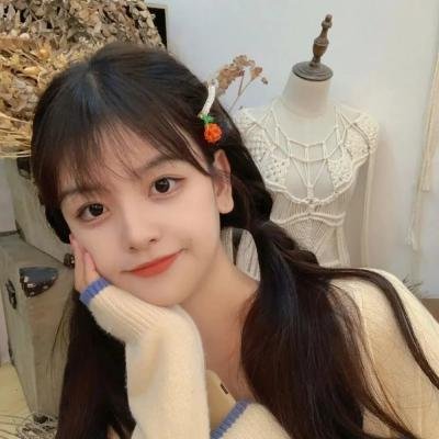 津门飞鹰